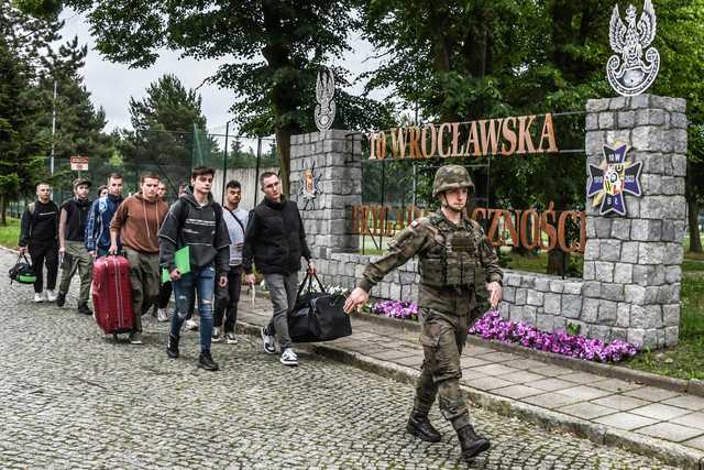 grafika