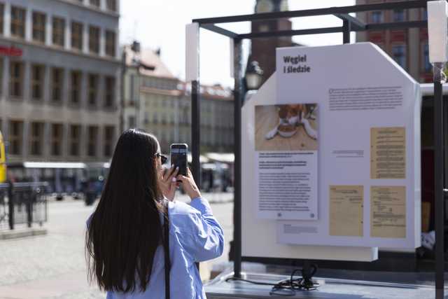 grafika