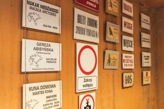 galeria