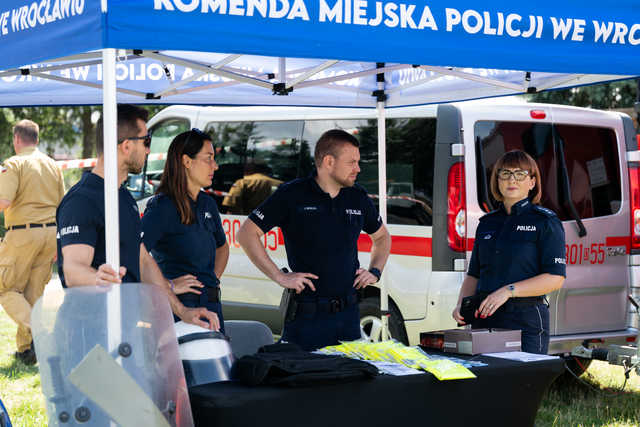 grafika