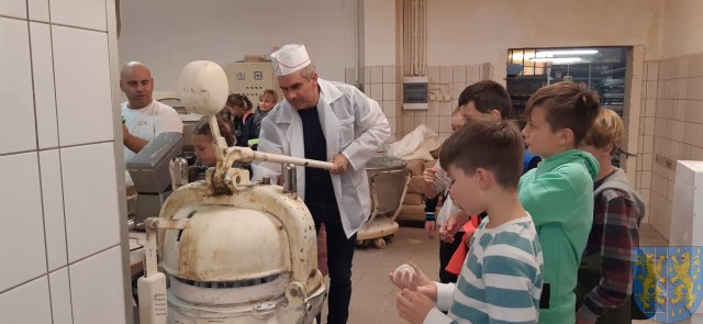 Program Doradztwa Zawodowego 