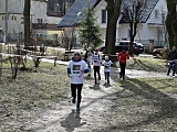 Bieg Pamięci Żołnierzy Wyklętych w Ziębicach