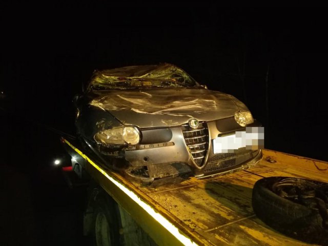 dachowanie alfa romeo na dk8 Dębowina