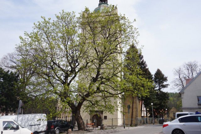 podpisanie umowy na remont kościoła poewangelickiego