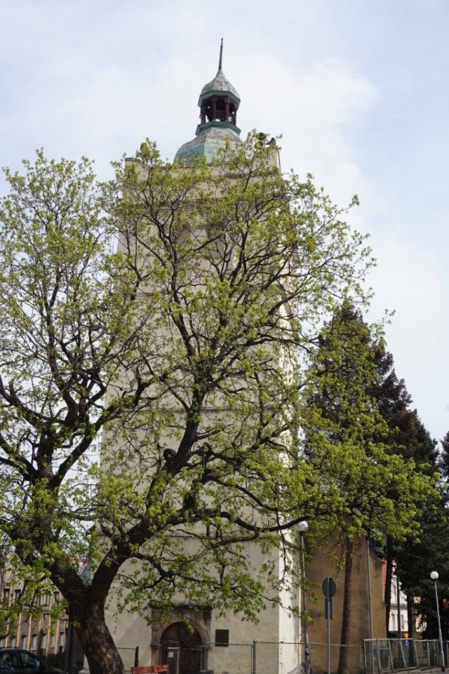 podpisanie umowy na remont kościoła poewangelickiego