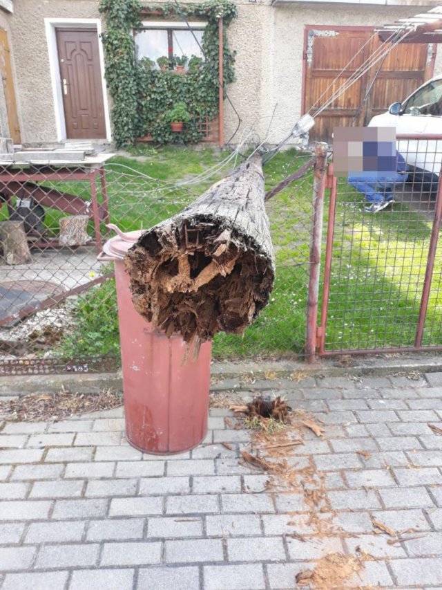 Przegniły słup energetyczny przewrócił się na posesję w Srebrnej Górze