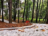 Park obok stadionie niemal gotowy