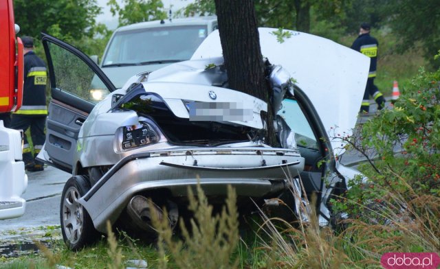 BMW uderzyło w  drzewo między Kamieńcem a Złotym Stokiem