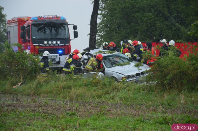 BMW uderzyło w  drzewo między Kamieńcem a Złotym Stokiem