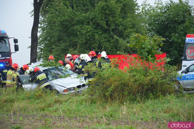 BMW uderzyło w  drzewo między Kamieńcem a Złotym Stokiem