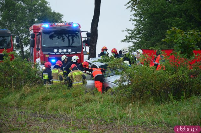 BMW uderzyło w  drzewo między Kamieńcem a Złotym Stokiem