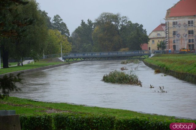 fot. Budzówka w Kamieńcu Ząbkowickim