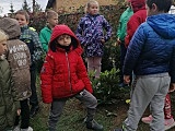 #ZieloneZąbkowice – posadzono drzewa, krzewy i kwiaty 