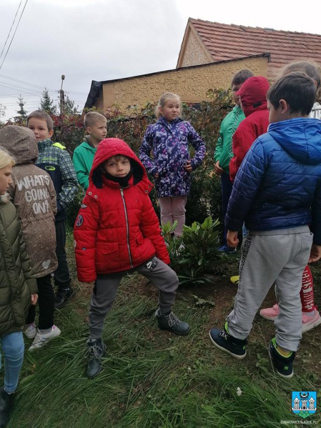 #ZieloneZąbkowice – posadzono drzewa, krzewy i kwiaty 