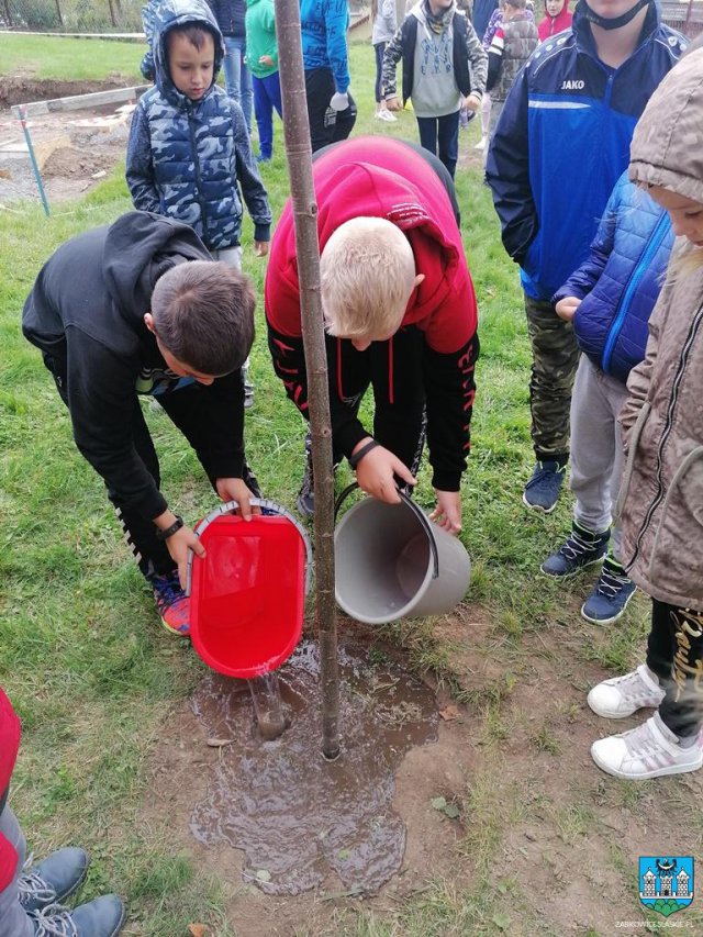 #ZieloneZąbkowice – posadzono drzewa, krzewy i kwiaty 