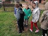 #ZieloneZąbkowice – posadzono drzewa, krzewy i kwiaty 