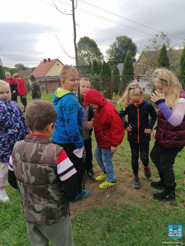 #ZieloneZąbkowice – posadzono drzewa, krzewy i kwiaty 