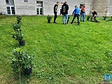 #ZieloneZąbkowice – posadzono drzewa, krzewy i kwiaty 
