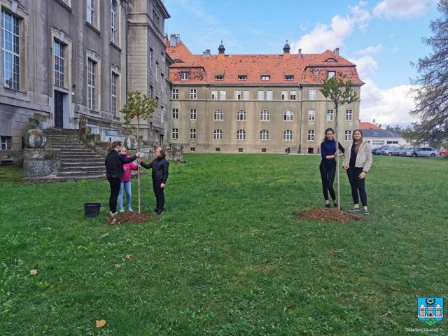 #ZieloneZąbkowice – posadzono drzewa, krzewy i kwiaty 