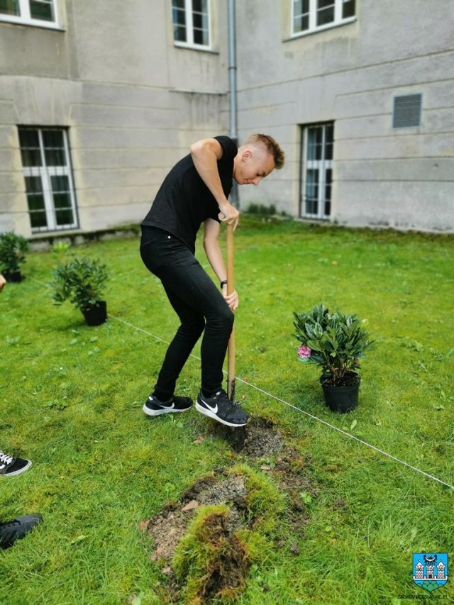 #ZieloneZąbkowice – posadzono drzewa, krzewy i kwiaty 