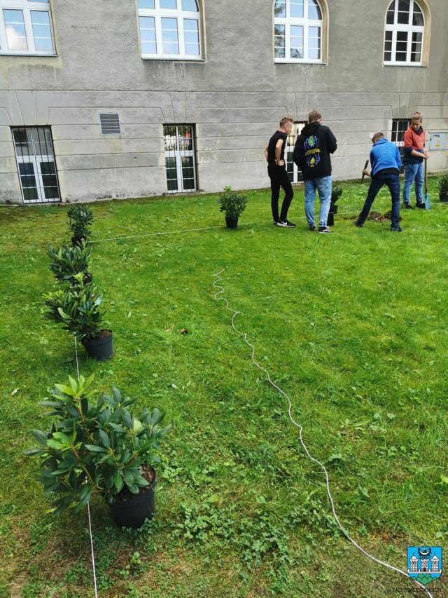 #ZieloneZąbkowice – posadzono drzewa, krzewy i kwiaty 