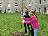 #ZieloneZąbkowice – posadzono drzewa, krzewy i kwiaty 