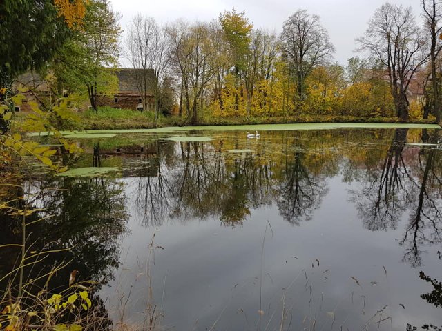 Rusza rewitalizacja parku w Grodziszczu