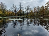 Rusza rewitalizacja parku w Grodziszczu