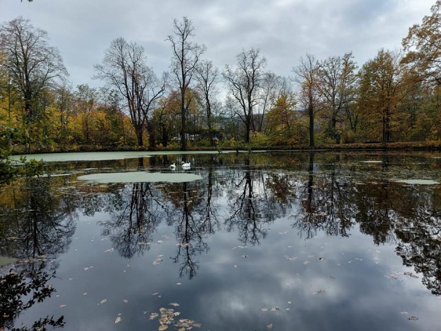 Rusza rewitalizacja parku w Grodziszczu