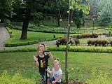 Nowe drzewka z inicjatywy mieszkańców oraz w ramach akcji Zielona Gmina