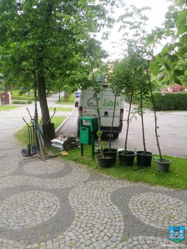 Nowe drzewka z inicjatywy mieszkańców oraz w ramach akcji Zielona Gmina