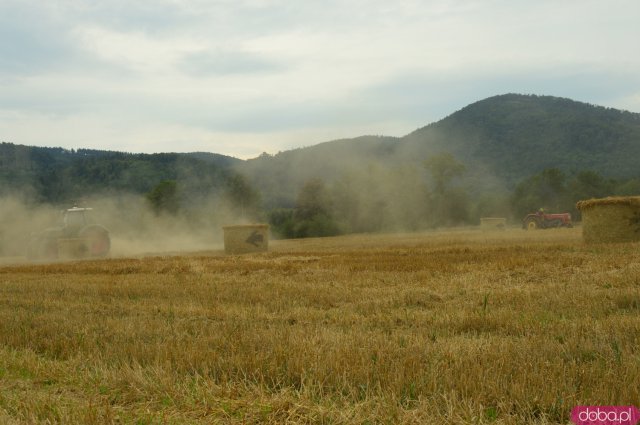  Dożynki w Grodziszczu