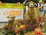  Dożynki w Grodziszczu