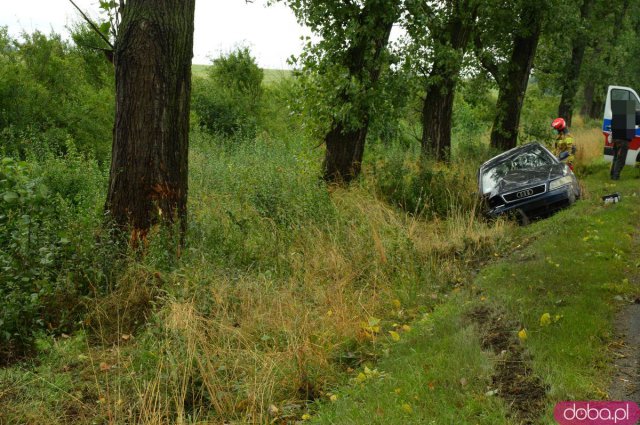 Audi uderzyło w drzewo i wpadło do rowu przed Kamieńcem