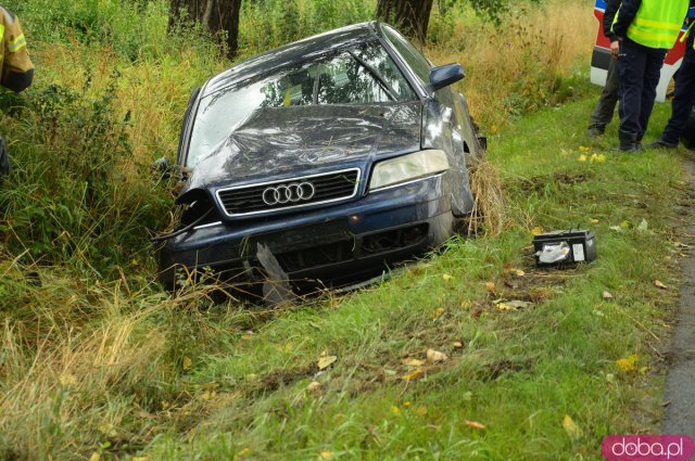 Audi uderzyło w drzewo i wpadło do rowu przed Kamieńcem
