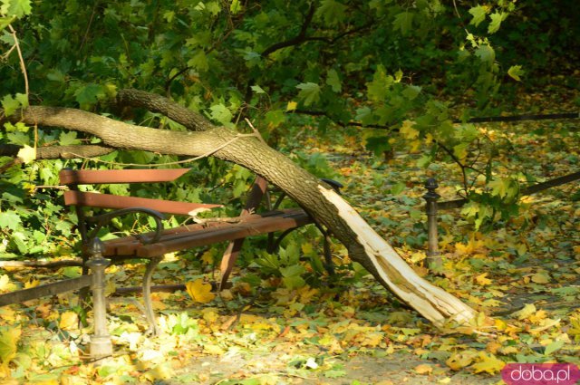 Wichura łamie drzewa, zrywa linie energetyczne. Zachowajcie ostrożność