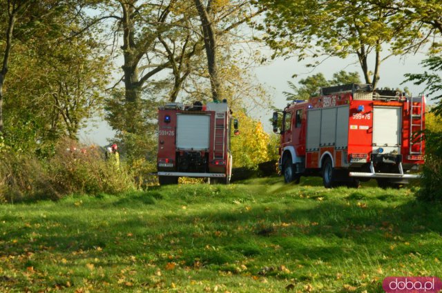 Wichura łamie drzewa, zrywa linie energetyczne. Zachowajcie ostrożność