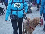 Puchar Polski w DOGTREKKINGU w Złotym Stoku