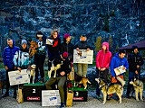 Puchar Polski w DOGTREKKINGU w Złotym Stoku