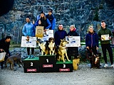 Puchar Polski w DOGTREKKINGU w Złotym Stoku