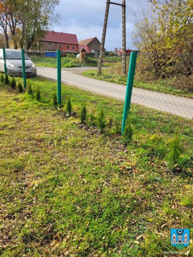 Ząbkowice Śląskie: Zielona Gmina