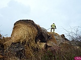 Pożar sterty słomy w Stoszowicach