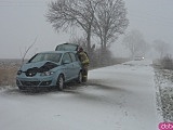  Za Jaworkiem konar spadł na samochód 