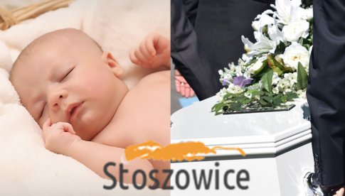 Statystyki gminy Stoszowice za 2021 rok 