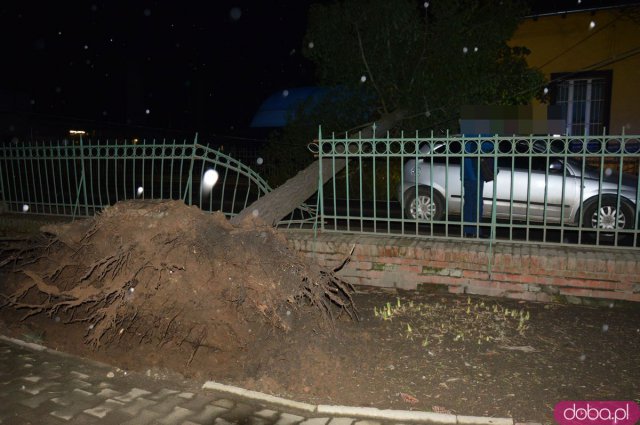 W Kamieńcu Ząbkowickim drzewo zawisło nad drogą i uszkodziło samochód