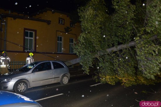 W Kamieńcu Ząbkowickim drzewo zawisło nad drogą i uszkodziło samochód