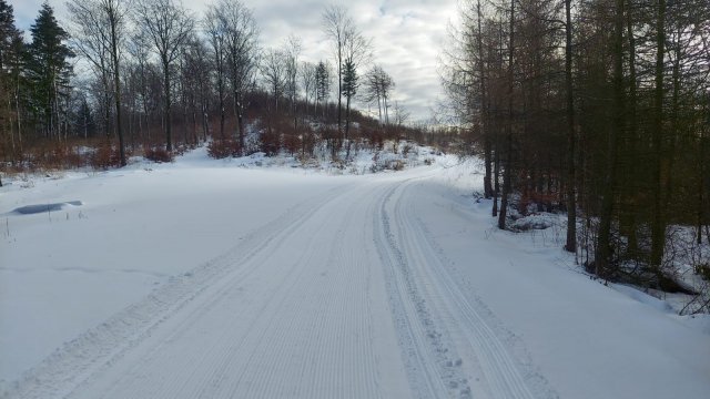 Dobre warunki do narciarstwa biegowego w Srebrnej Górze