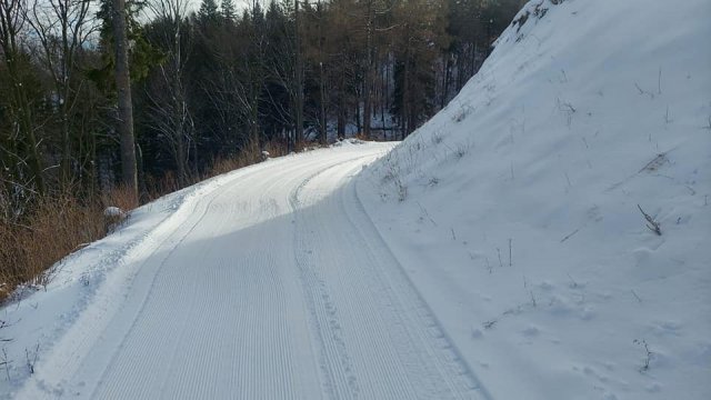 Dobre warunki do narciarstwa biegowego w Srebrnej Górze