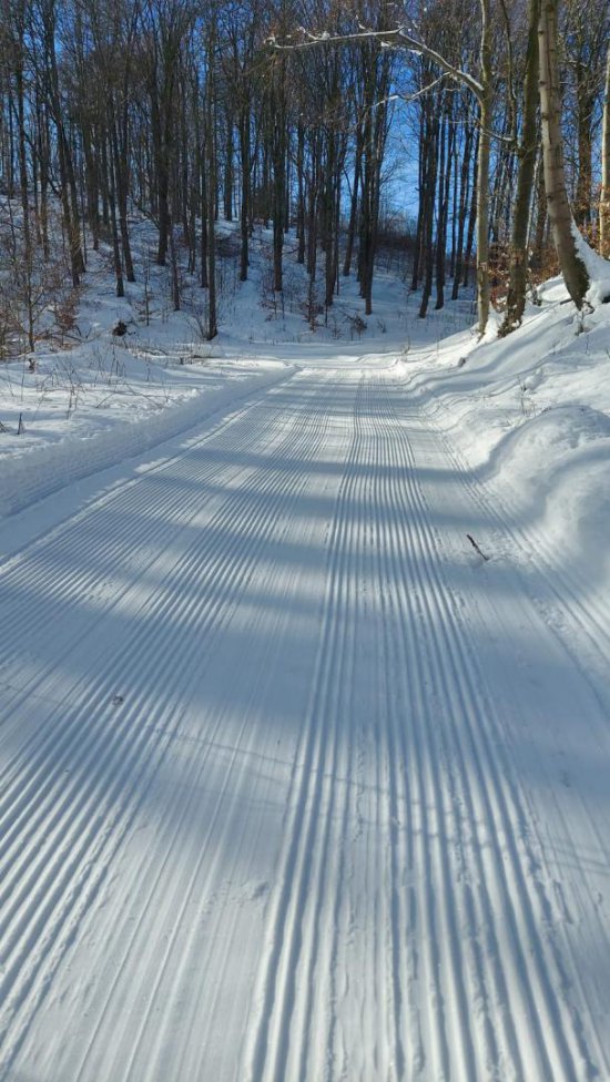 Dobre warunki do narciarstwa biegowego w Srebrnej Górze