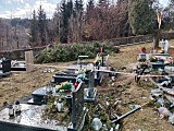 Połamane konary i drzewa, kilkanaście interwencji strażaków. Silny wiatr powróci w sobotę